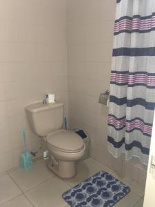 BingagBlue Summer Suites的一间带卫生间和淋浴帘的浴室