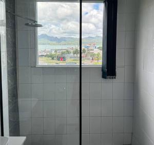 苏瓦SBs Apartment的瓷砖浴室设有窗户和淋浴