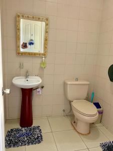 BingagBlue Summer Suites的一间带卫生间和水槽的浴室