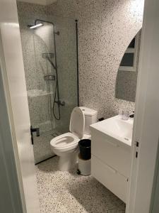 尼科西亚Two Bedroom Condo - Just Renovated Great Location的带淋浴、卫生间和盥洗盆的浴室