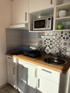 圣米舍德谢洛Studio Chaillol 1600的厨房配有水槽和微波炉