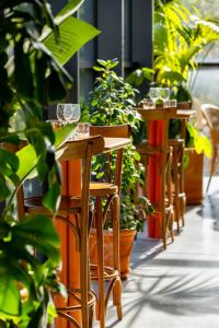 巴黎The People - Paris Marais的一排桌椅,上面有盆栽植物