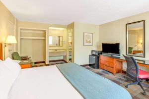银泉银泉旅者酒店的配有一张床和一台平面电视的酒店客房