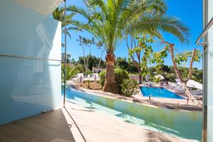 波塔尔斯诺斯Tacande Portals的享有棕榈树游泳池的景色