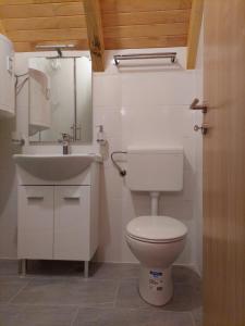 ŠipovoLAna的一间带卫生间和水槽的浴室
