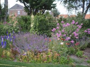 弗劳温普尔德B&B Fam. Tavenier的院子里种着五颜六色花的花园