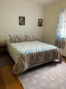 阿瓜斯迪林多亚apartamento águas de lindoia itaigara的一间卧室配有一张床和地毯