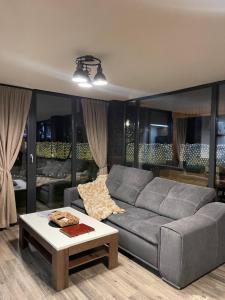 彼得罗沙尼Valea Mosului - Cozy A Frame的客厅配有灰色的沙发和茶几