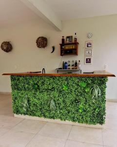 里约热内卢Casa com piscina e muita tranquilidade的一间酒吧,里面设有绿色的墙壁