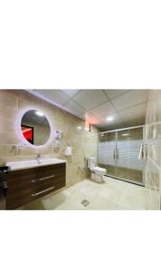 瓦迪拉姆Rehana rum camp的一间带水槽、卫生间和镜子的浴室