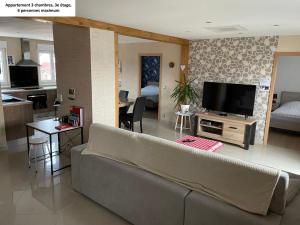 科尔马Appartements centre ville Colmar 4 familles的带沙发和电视的客厅