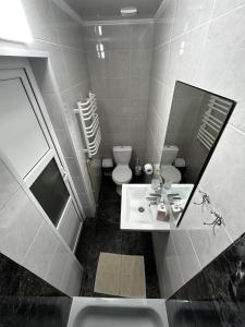 斯拉夫西克Зоряні Карпати的一间带水槽、镜子和卫生间的浴室