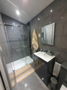 The HydeLovely double room with en-suite bathroom的带淋浴和盥洗盆的浴室