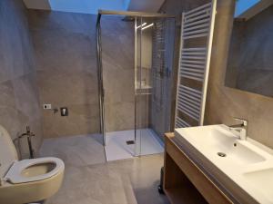奥蒂塞伊Apartment Aghel的带淋浴、卫生间和盥洗盆的浴室