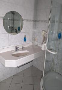 拉施塔特City Hotel - Einzelzimmer的一间带水槽、镜子和淋浴的浴室