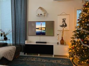 罗瓦涅米Villa Harmony的客厅配有圣诞树和电视