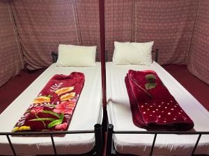 BadīyahSandGlass Camp的帐篷内的一张床位,上面有两个枕头