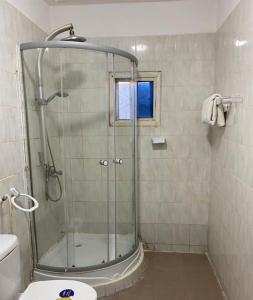 BrikamaSaffy Guest House的带淋浴和卫生间的浴室