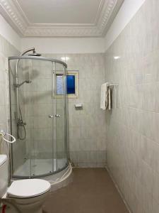 BrikamaSaffy Guest House的一间带卫生间和玻璃淋浴间的浴室