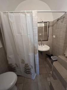 奥斯图尼La Casodda的带淋浴、卫生间和盥洗盆的浴室