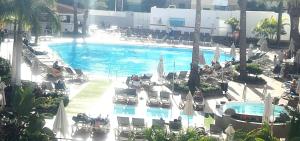 圣巴托洛梅Apartment at bronze playa hotel的享有带椅子和遮阳伞的游泳池的上方景色
