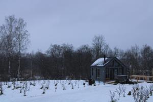 Smiltsērkšķu namiņš的田野上积雪的房子