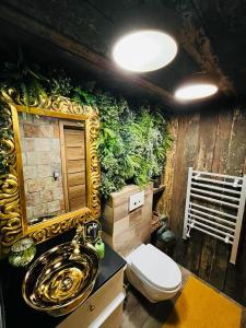 耶什赫维采Tiny House Všemily的浴室设有植物墙和卫生间
