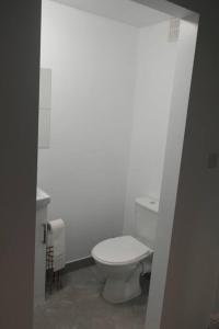 诺丁汉Bestwood Lodge Studio的一间位于客房内的白色卫生间的浴室