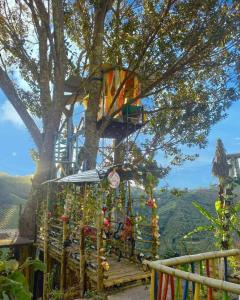 马尼萨莱斯EL EDEN HABITACIONES的树上一排篮球架的树屋