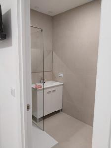 瓦伦西亚Apartamento Gran Turia的一间带水槽和玻璃淋浴的浴室