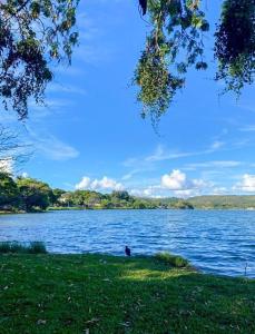 圣湖镇Casa na Orla de Lagoa Santa的鸟坐在湖边的草地上