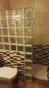 代尔特布雷Mas Panoli的浴室设有卫生间和带玻璃架的淋浴间。