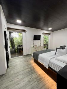 福尔图纳Hotel Boutique Casa Del Rio的一间卧室配有一张床和一台平面电视