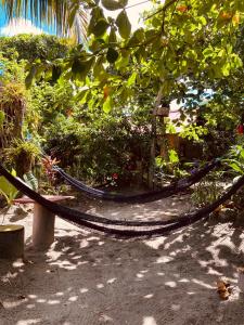 莫姆皮切La Caleta的花园中央的吊床