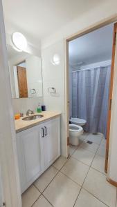 门多萨La Quinta departamento的一间带水槽和卫生间的浴室
