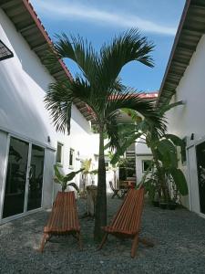 Phumĭ Chroŭy SvayLittle Escape Guesthouse Nesat的两把椅子和一棵棕榈树,在房子前面