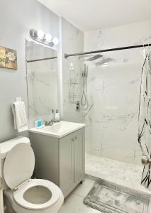 孟菲斯Karizma Haven in Midtown Memphis的白色的浴室设有卫生间和淋浴。