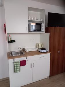 米库洛夫Alegria Natur Apartments的一间带水槽和微波炉的小厨房