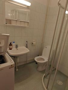皮耶塔尔萨里Brooms - Newly renovated central studio apartment的一间带卫生间和水槽的浴室