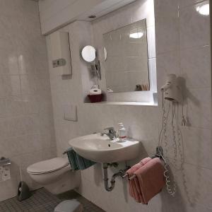 巴特德里堡Gästehaus Therme-Blick的一间带水槽、卫生间和镜子的浴室