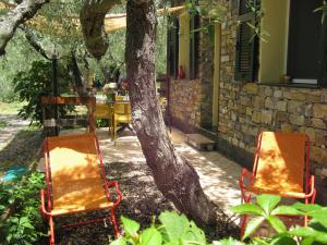 ChiusanicoAgriturismo La Vigna的两把椅子坐在树旁边