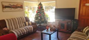 拉塞雷纳Casa Felice Altovalsol的客厅配有圣诞树和电视