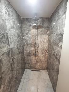 伊斯坦布尔Gafa Garden Hostel & Apartments - Great Location的带淋浴的浴室(带石墙)