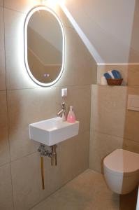 辛根1 Zimmer mit Bad ohne Küche, 1 Person, 15 qm, direkt an der Aach的一间带水槽和镜子的浴室