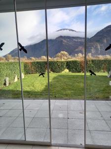 萨永赛隆伊娃森萨酒店的窗外的景色,鸟儿飞向外面