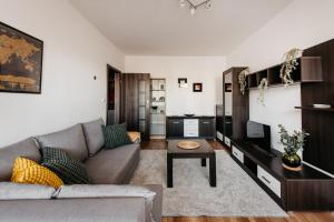 克拉科夫2-bedroom Apartment with garage in the city center的带沙发和电视的客厅