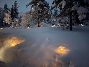 萨利色尔卡Saariselällä, sielukas hirsimökki - Unique cottage的雪上覆盖着灯光的院子