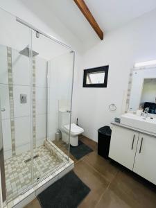 蓬塔杜欧鲁Twin House #2的带淋浴、卫生间和盥洗盆的浴室