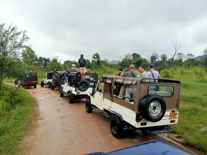 波隆纳鲁沃Kithmi Resort的一群游猎车在土路上