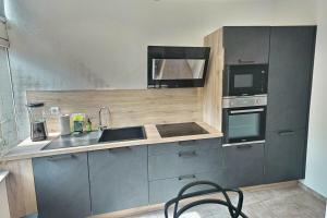 特鲁瓦Le Vauluisant | Appartement Confort | Mon Groom的一间带水槽和微波炉的小厨房